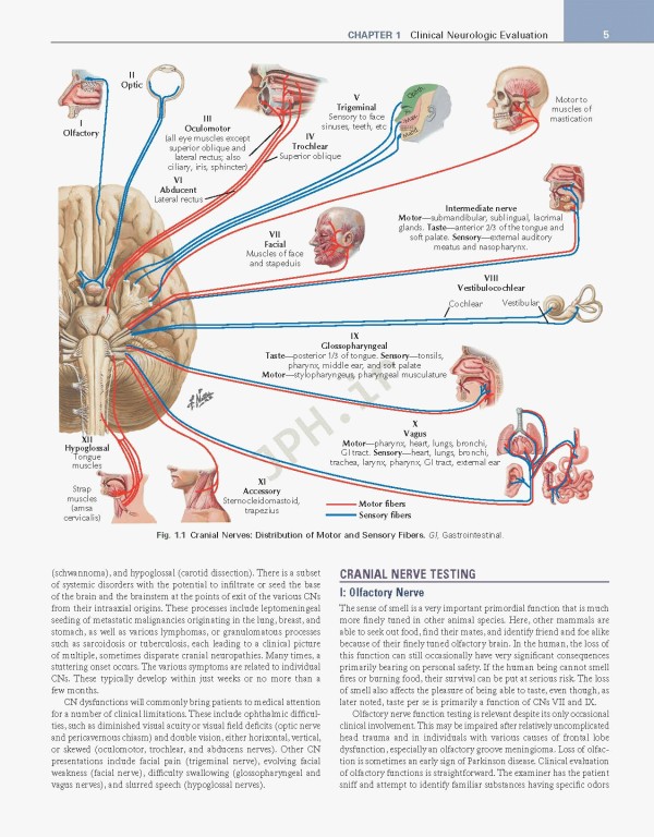 عصب‌شناسی علوم بالینی نتر | Netter's Neurology Netter Clinical Science 3rd Edition 2019