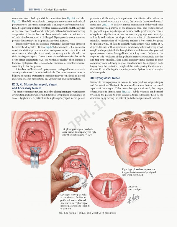 عصب‌شناسی علوم بالینی نتر | Netter's Neurology Netter Clinical Science 3rd Edition 2019