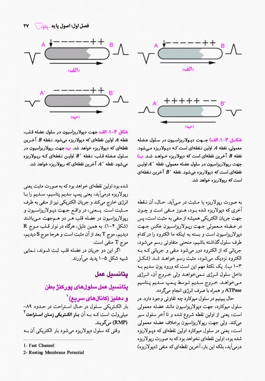 اطلس الکتروکاردیوگرافی قارونی ویراست نهم
