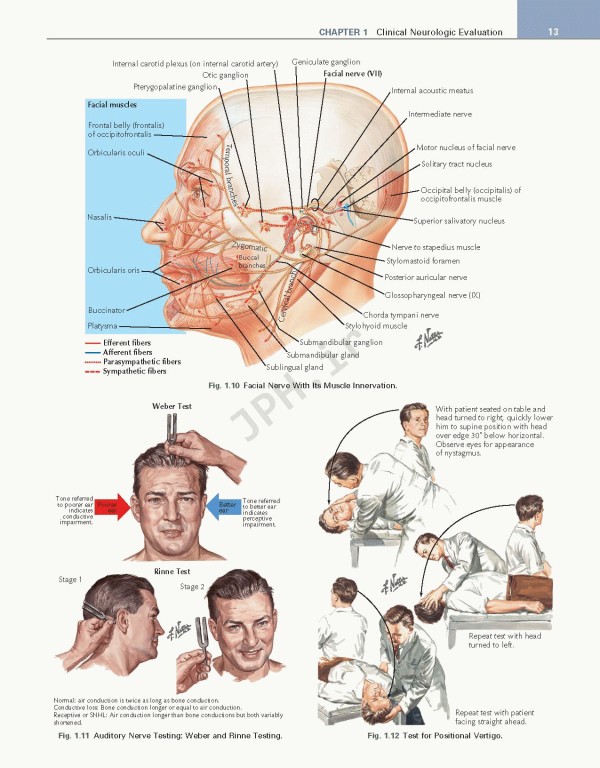عصب‌شناسی علوم بالینی نتر | Netter's Neurology Netter Clinical Science 3rd Edition 2019