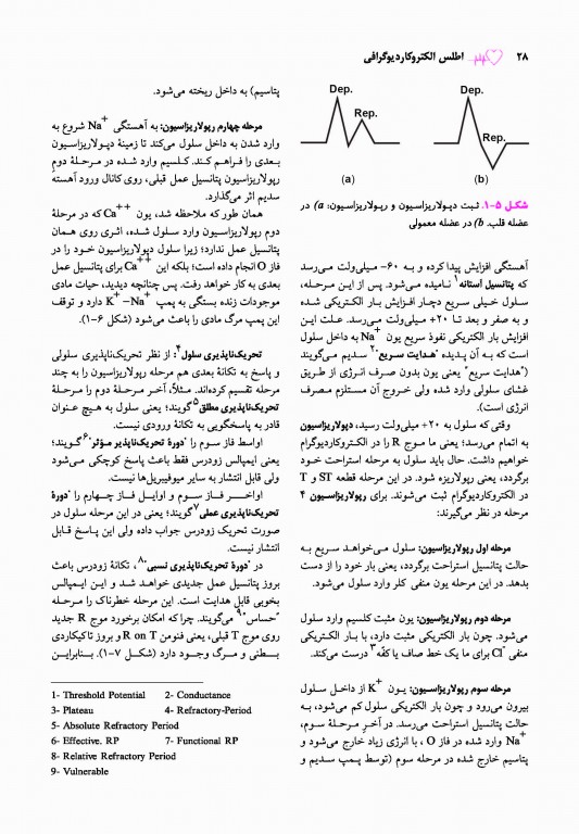 اطلس الکتروکاردیوگرافی قارونی ویراست نهم