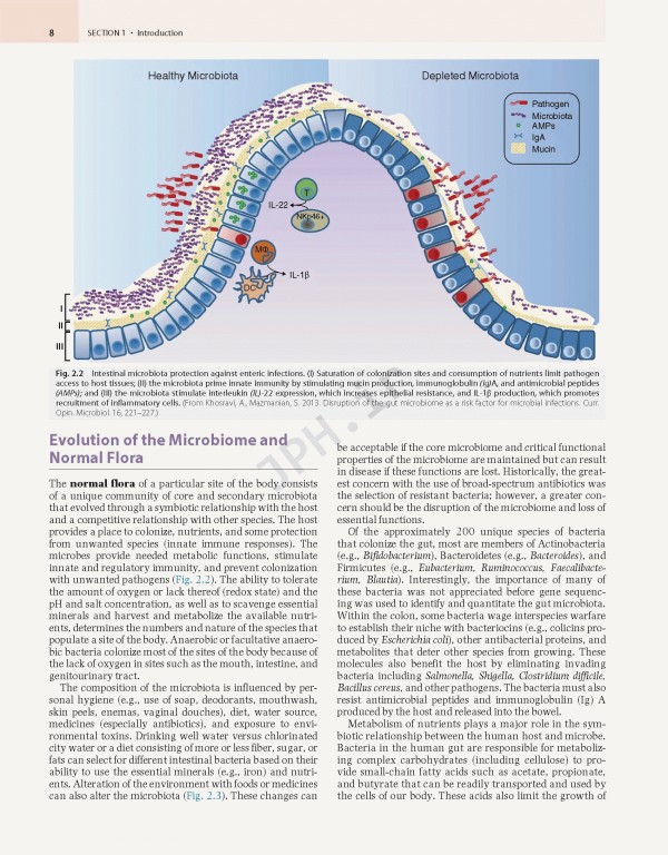 میکروب‌شناسی مورای ویرایش نهم | Medical Microbiology By Patrick R. Murray 2021