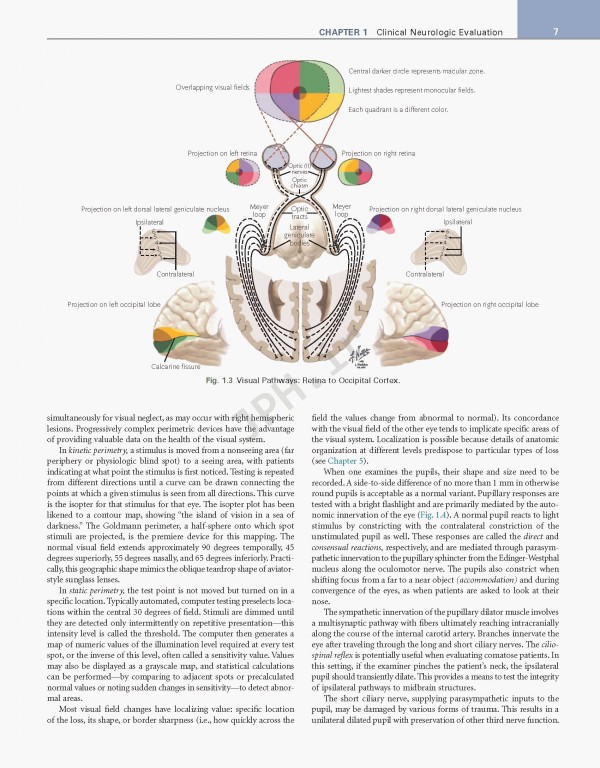 عصب‌شناسی علوم بالینی نتر | Netter's Neurology Netter Clinical Science 3rd Edition 2019