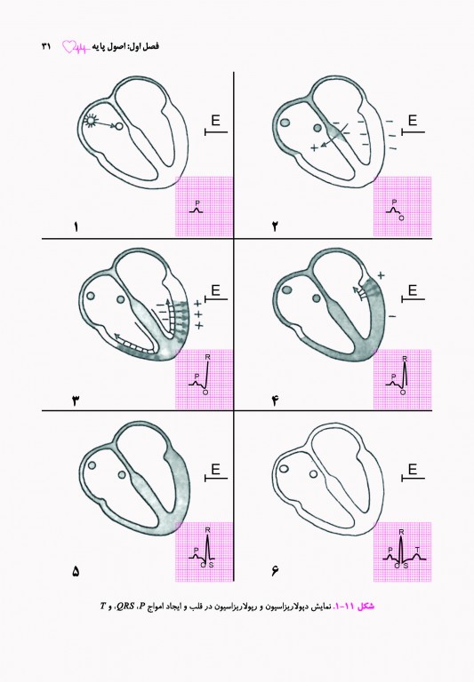 اطلس الکتروکاردیوگرافی قارونی ویراست نهم