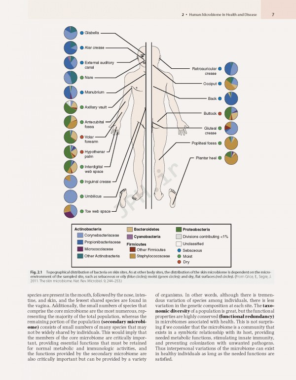 میکروب‌شناسی مورای ویرایش نهم | Medical Microbiology By Patrick R. Murray 2021