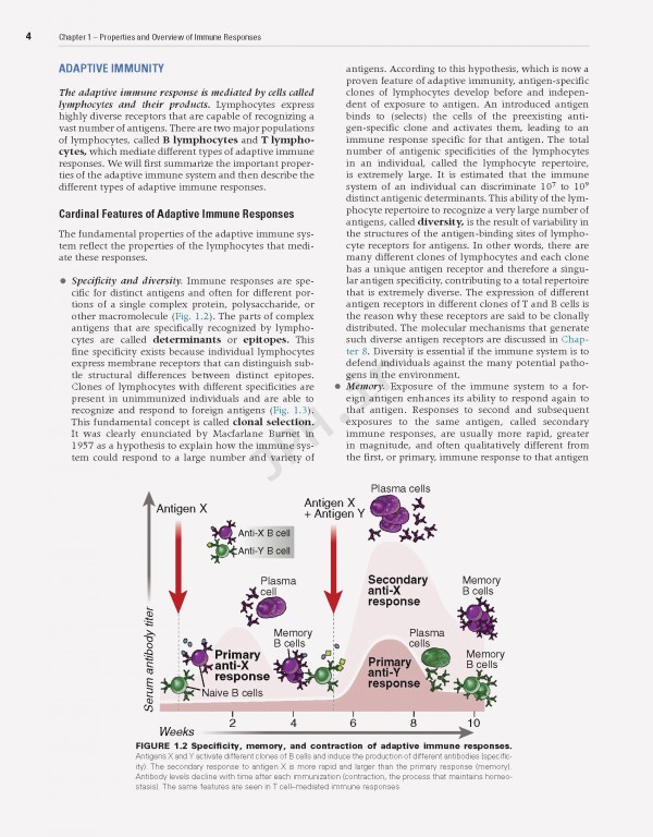 ایمونولوژی سلولی و مولکولی ابوالعباس2021 | Cellular and Molecular Immunology