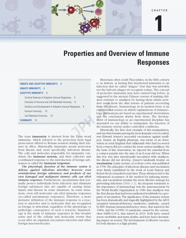 ایمونولوژی سلولی و مولکولی ابوالعباس2021 | Cellular and Molecular Immunology