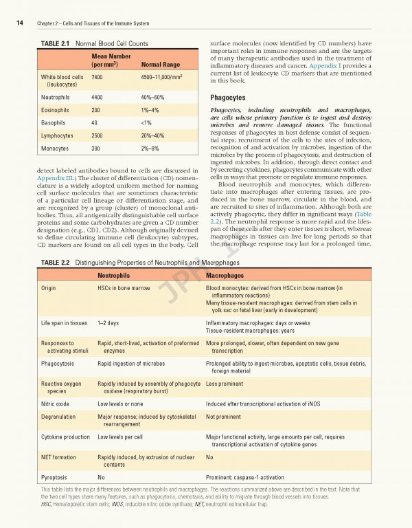 ایمونولوژی سلولی و مولکولی ابوالعباس2021 | Cellular and Molecular Immunology