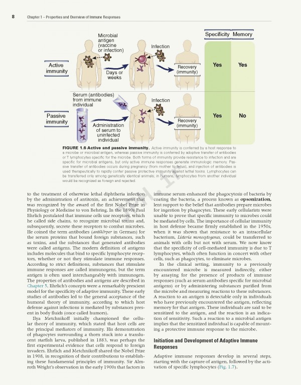 ایمونولوژی سلولی و مولکولی ابوالعباس2021 | Cellular and Molecular Immunology