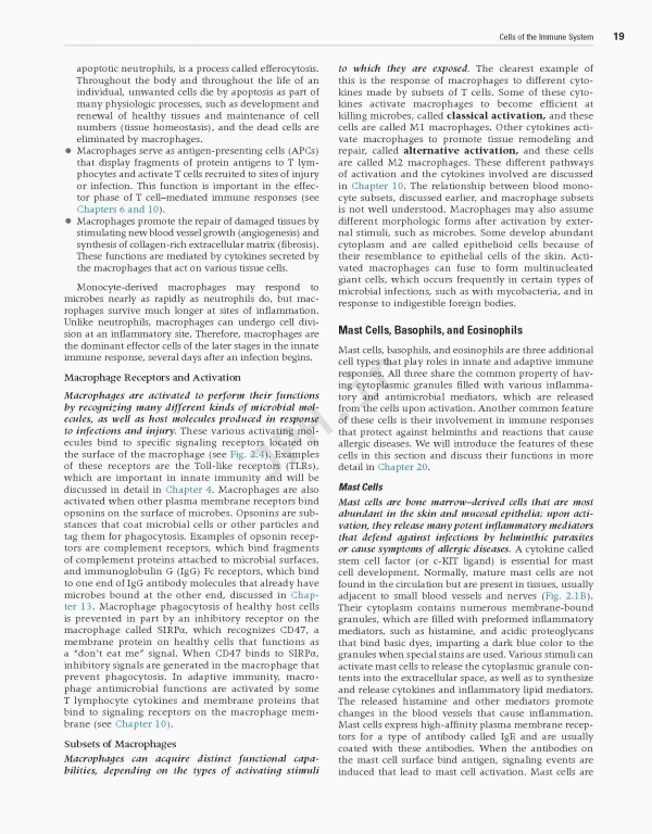 ایمونولوژی سلولی و مولکولی ابوالعباس2021 | Cellular and Molecular Immunology