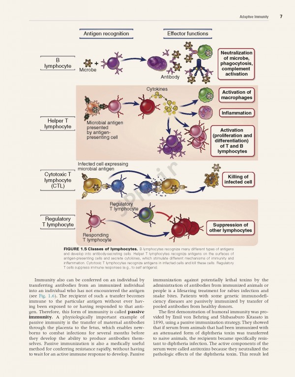 ایمونولوژی سلولی و مولکولی ابوالعباس2021 | Cellular and Molecular Immunology