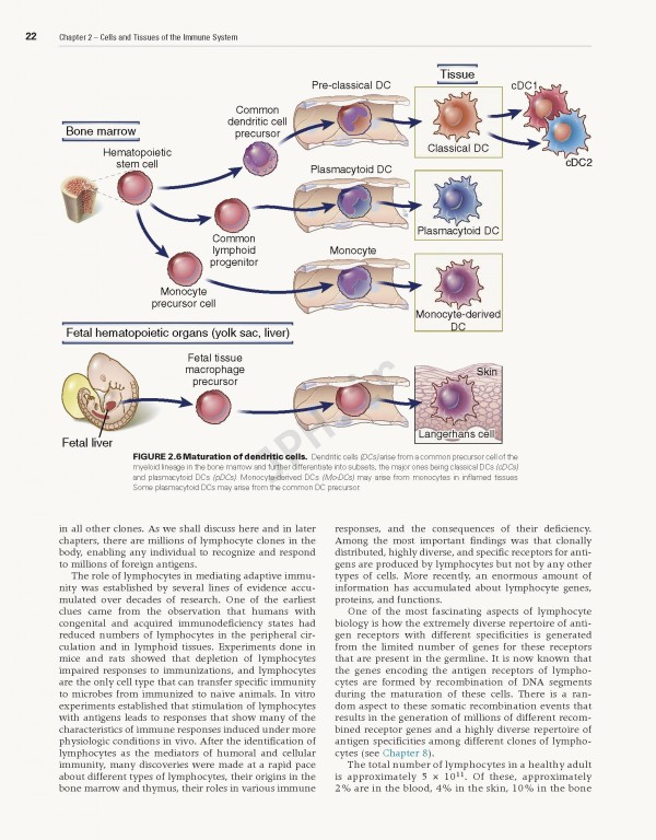 ایمونولوژی سلولی و مولکولی ابوالعباس2021 | Cellular and Molecular Immunology