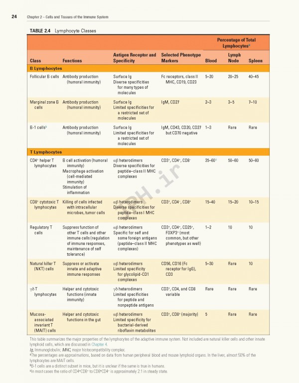 ایمونولوژی سلولی و مولکولی ابوالعباس2021 | Cellular and Molecular Immunology