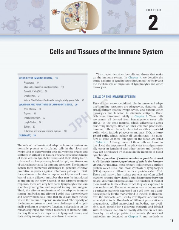 ایمونولوژی سلولی و مولکولی ابوالعباس2021 | Cellular and Molecular Immunology
