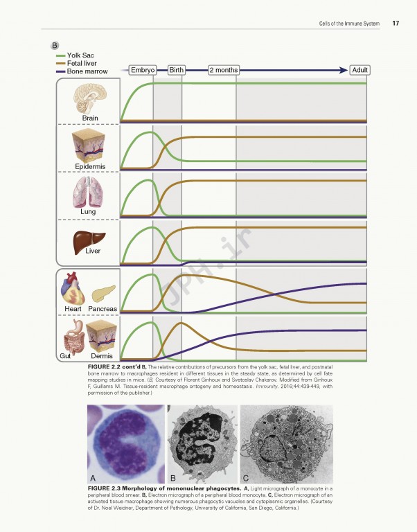ایمونولوژی سلولی و مولکولی ابوالعباس2021 | Cellular and Molecular Immunology