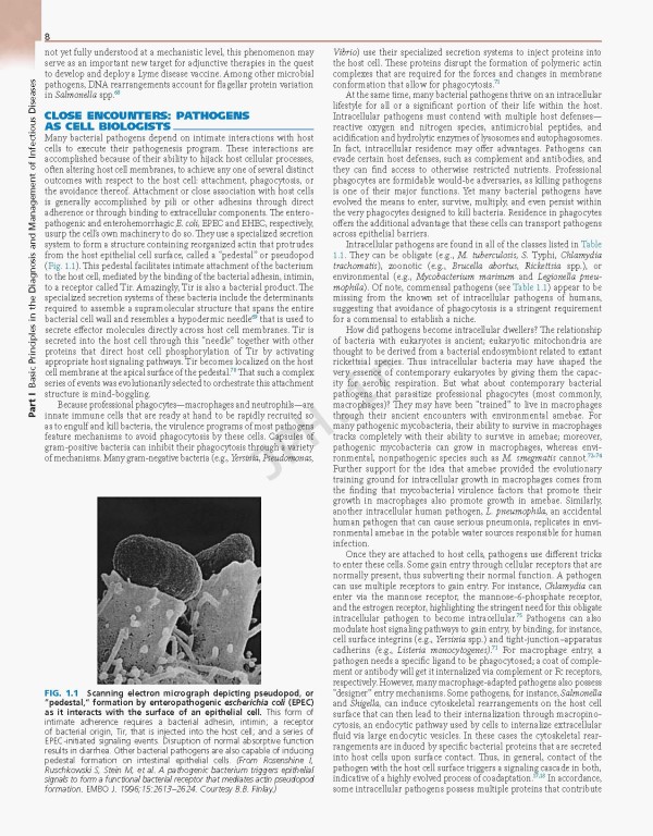 اصول و عملکرد بیماری‌های عفونی مندل 2020 | Mandell Douglas and Bennett's Principles and Practice of Infectious Diseases 9th Edition