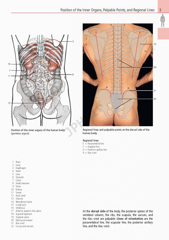 اطلس آناتومی تمام رنگی روهن ویراست هشتم  Rohen Atlas Of Anatomy 2015
