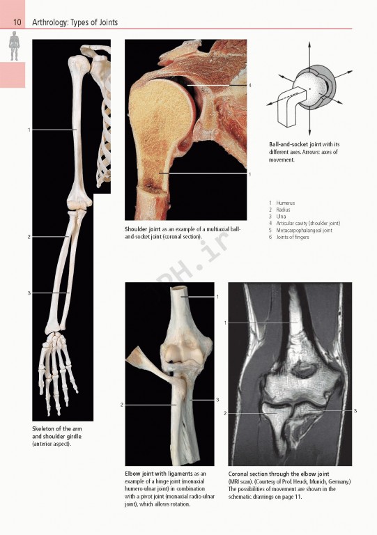 اطلس آناتومی تمام رنگی روهن ویراست هشتم  Rohen Atlas Of Anatomy 2015