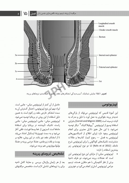 درسنامه مامایی مایلز 2014 جلد دوم