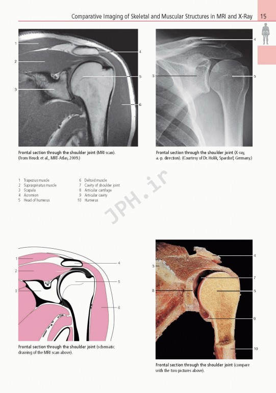 اطلس آناتومی تمام رنگی روهن ویراست هشتم  Rohen Atlas Of Anatomy 2015