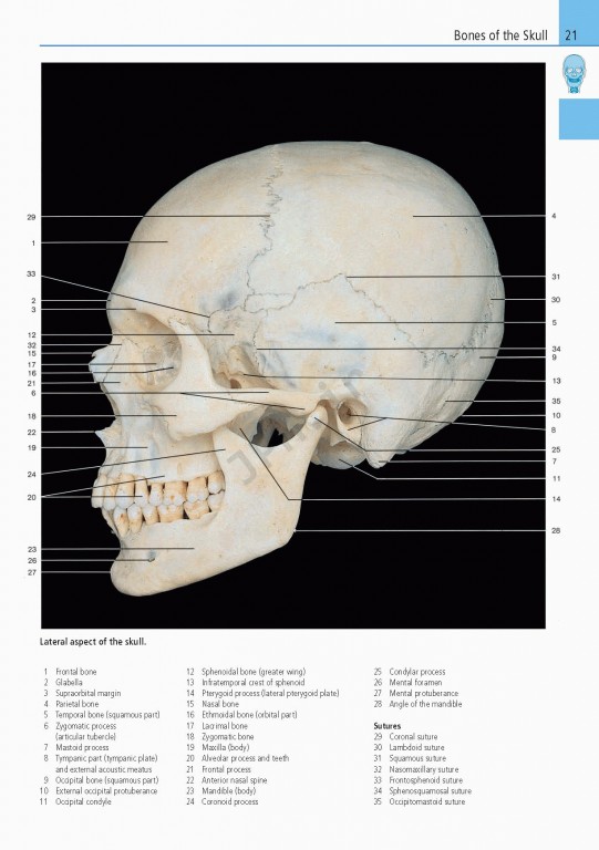 اطلس آناتومی تمام رنگی روهن ویراست هشتم  Rohen Atlas Of Anatomy 2015