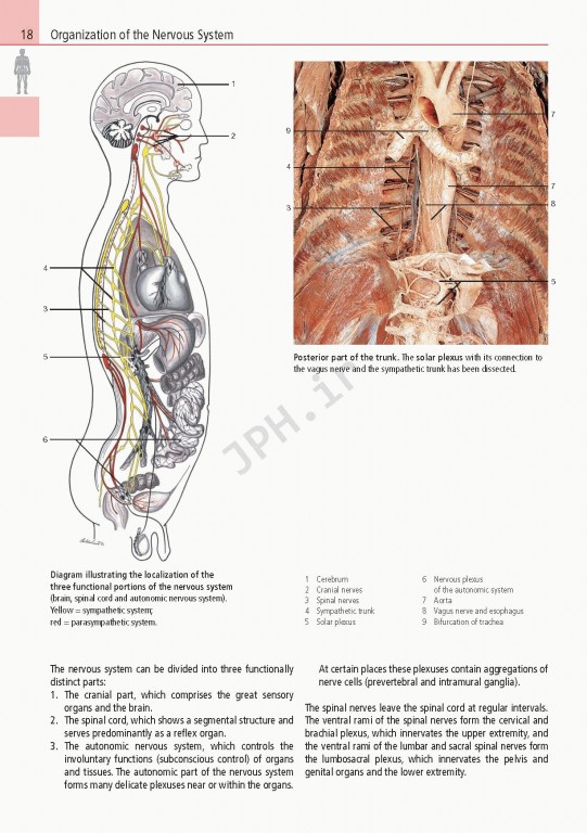 اطلس آناتومی تمام رنگی روهن ویراست هشتم  Rohen Atlas Of Anatomy 2015