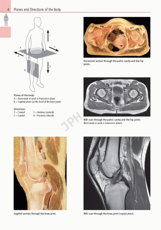 اطلس آناتومی تمام رنگی روهن ویراست هشتم  Rohen Atlas Of Anatomy 2015