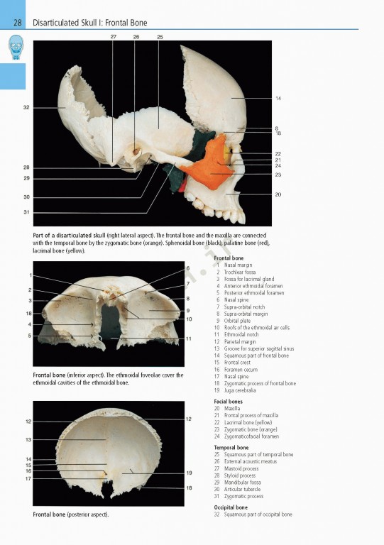 اطلس آناتومی تمام رنگی روهن ویراست هشتم  Rohen Atlas Of Anatomy 2015