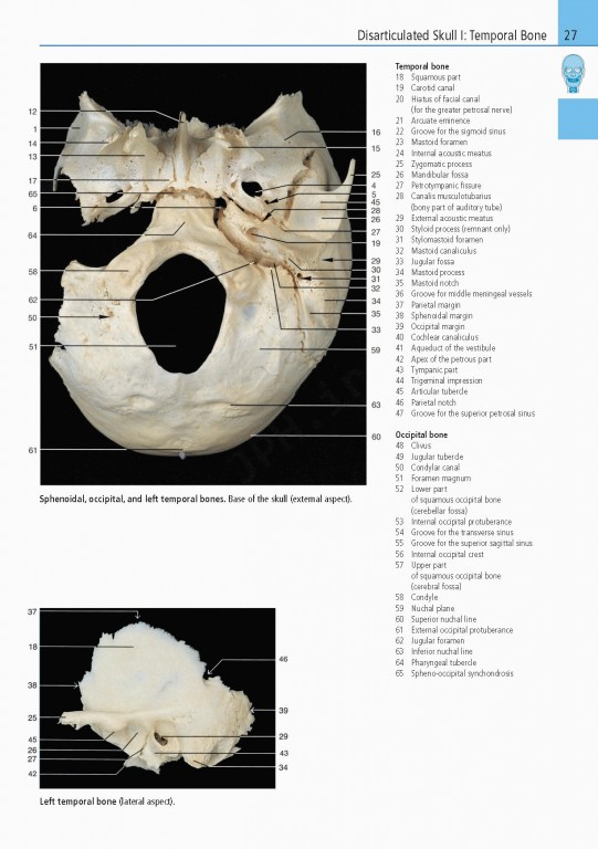 اطلس آناتومی تمام رنگی روهن ویراست هشتم  Rohen Atlas Of Anatomy 2015
