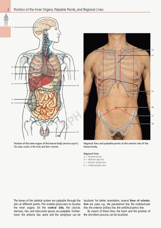 اطلس آناتومی تمام رنگی روهن ویراست هشتم  Rohen Atlas Of Anatomy 2015