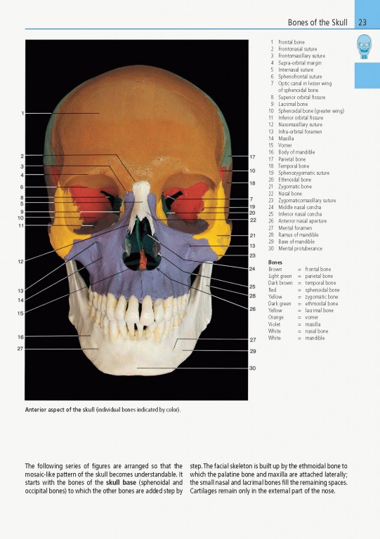 اطلس آناتومی تمام رنگی روهن ویراست هشتم  Rohen Atlas Of Anatomy 2015