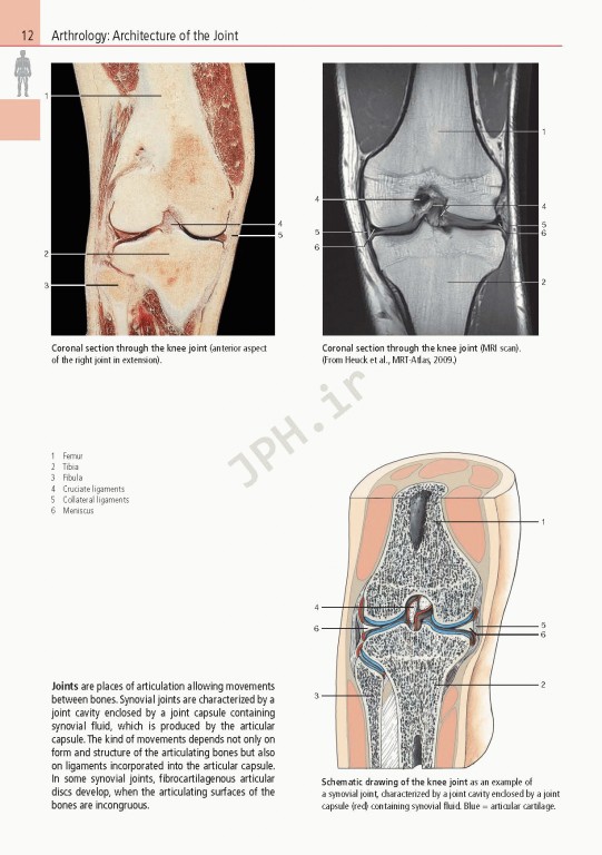 اطلس آناتومی تمام رنگی روهن ویراست هشتم  Rohen Atlas Of Anatomy 2015