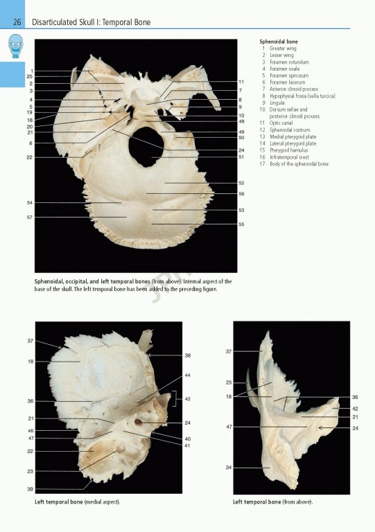 اطلس آناتومی تمام رنگی روهن ویراست هشتم  Rohen Atlas Of Anatomy 2015