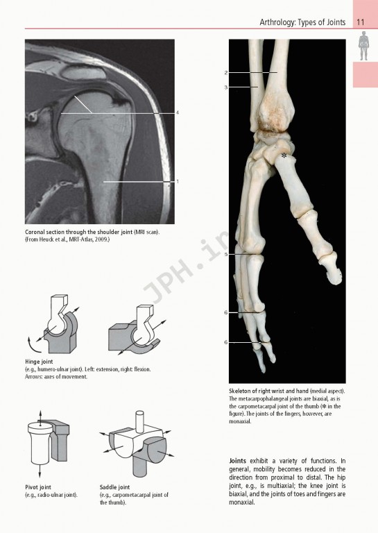 اطلس آناتومی تمام رنگی روهن ویراست هشتم  Rohen Atlas Of Anatomy 2015