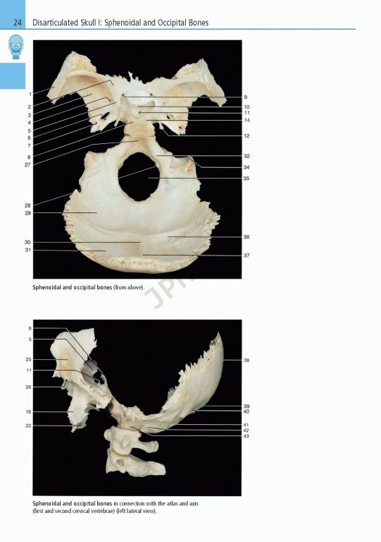 اطلس آناتومی تمام رنگی روهن ویراست هشتم  Rohen Atlas Of Anatomy 2015