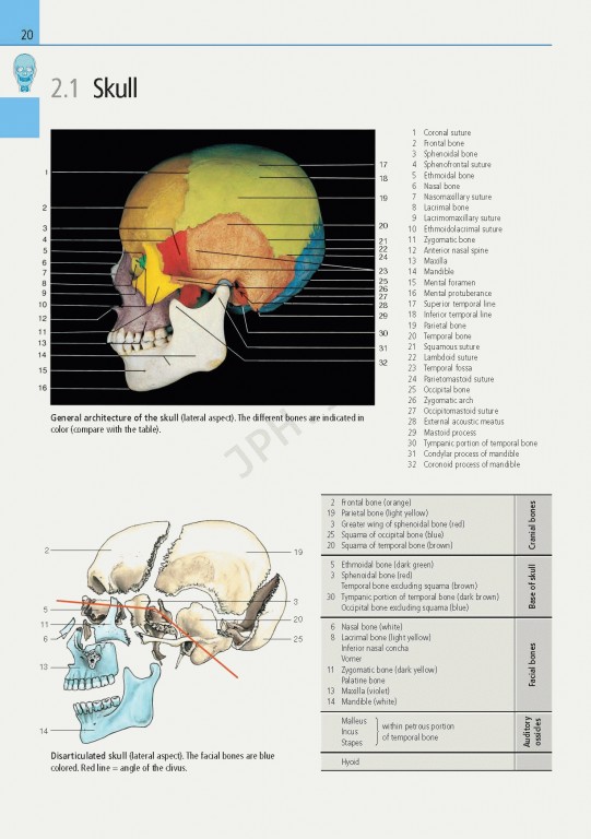 اطلس آناتومی تمام رنگی روهن ویراست هشتم  Rohen Atlas Of Anatomy 2015