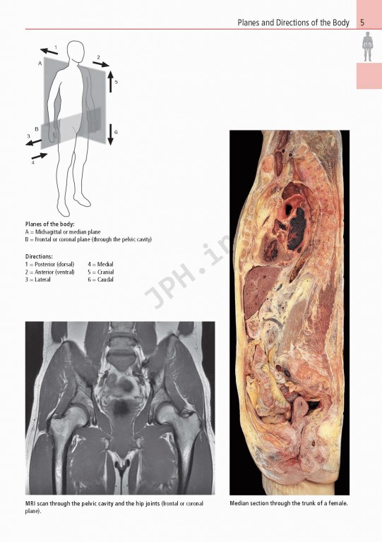 اطلس آناتومی تمام رنگی روهن ویراست هشتم  Rohen Atlas Of Anatomy 2015