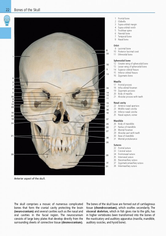 اطلس آناتومی تمام رنگی روهن ویراست هشتم  Rohen Atlas Of Anatomy 2015