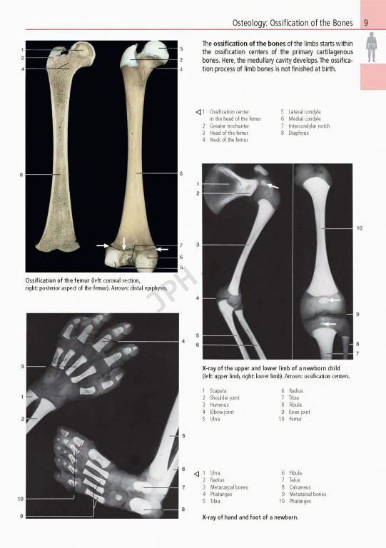 اطلس آناتومی تمام رنگی روهن ویراست هشتم  Rohen Atlas Of Anatomy 2015