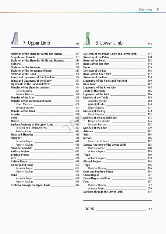 اطلس آناتومی تمام رنگی روهن ویراست هشتم  Rohen Atlas Of Anatomy 2015
