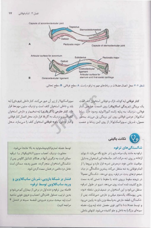 آناتومی بالینی اسنل 2019 دکتر حسن زاده جلد دوم اندام