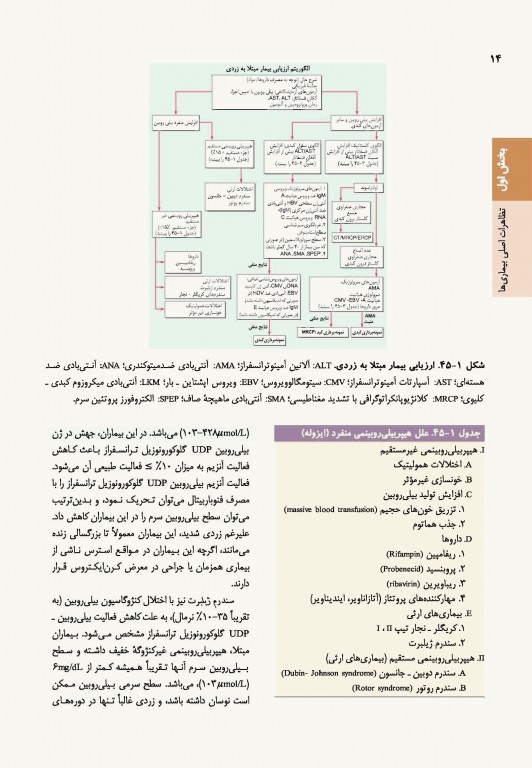 اصول طب داخلی هاریسون 2022 بیماری‌های کبد و مجاری صفراوی