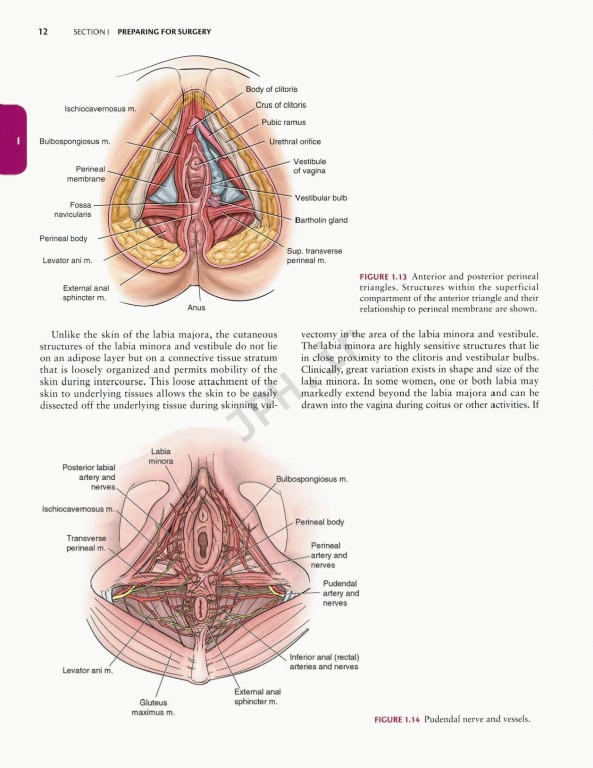 جراحی زنان و زایمان تلیند | Te Linde's Operative Gynecology 201 |