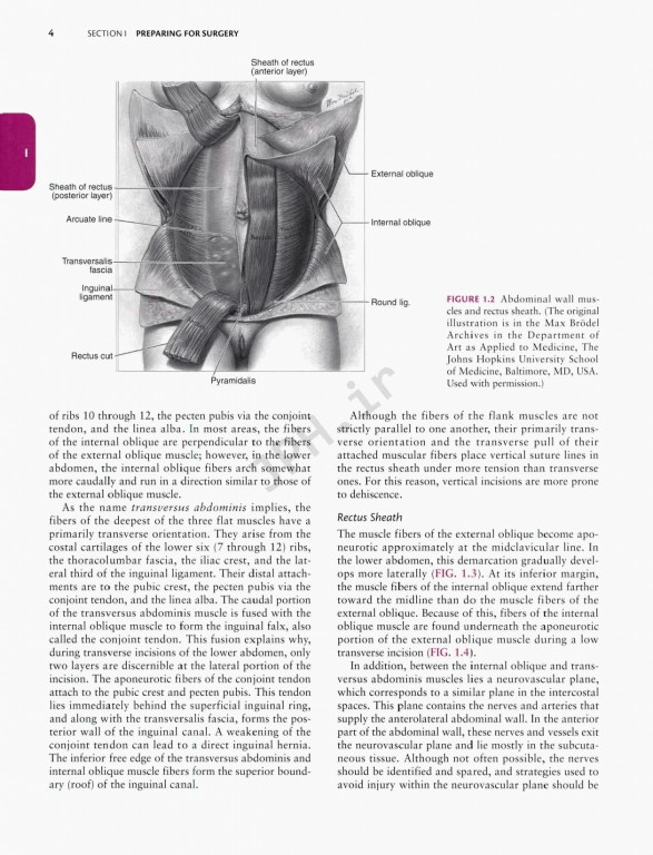 جراحی زنان و زایمان تلیند | Te Linde's Operative Gynecology 201 |