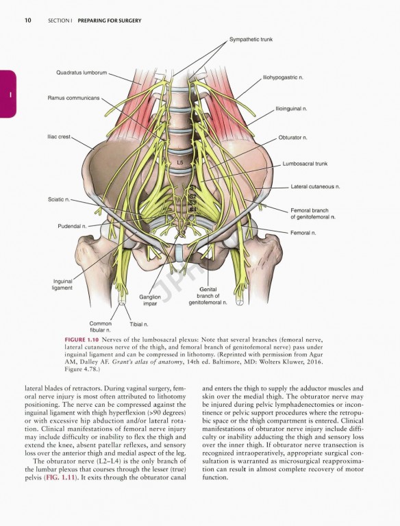 جراحی زنان و زایمان تلیند | Te Linde's Operative Gynecology 201 |
