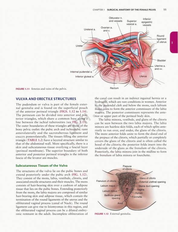 جراحی زنان و زایمان تلیند | Te Linde's Operative Gynecology 201 |