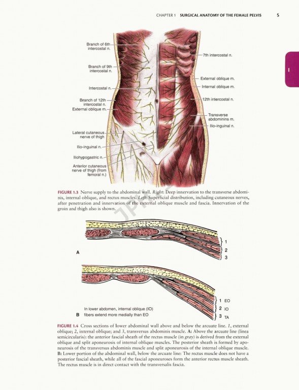 جراحی زنان و زایمان تلیند | Te Linde's Operative Gynecology 201 |