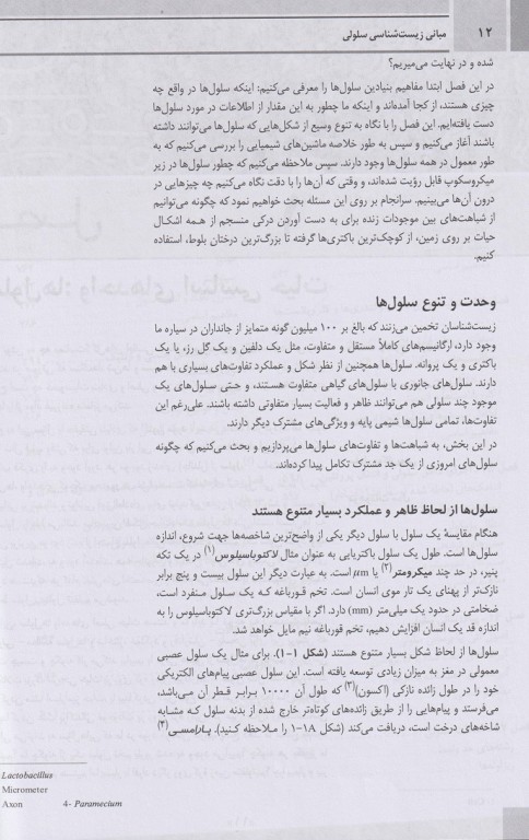 مبانی زیست‌شناسی سلولی آلبرتس 2019 اندیشه رفیع