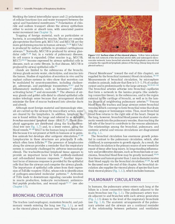 پزشکی تنفسی مورای و نادل ویراست هفتم | Murray & Nadel's Textbook of Respiratory Medicine 2021