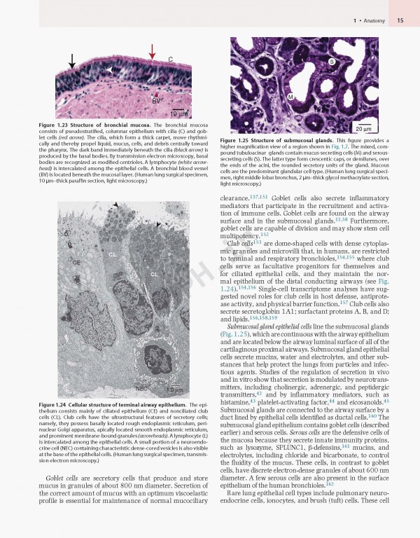 پزشکی تنفسی مورای و نادل ویراست هفتم | Murray & Nadel's Textbook of Respiratory Medicine 2021